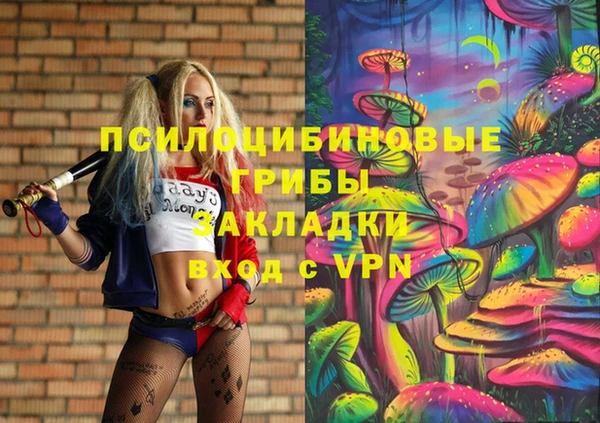синтетический гашиш Ладушкин
