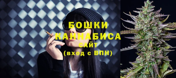 PSILOCYBIN Лиски