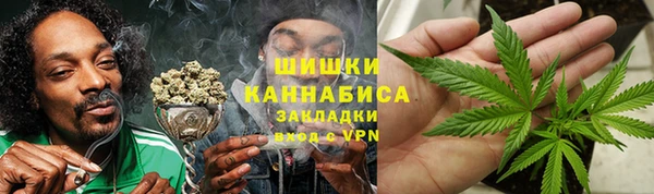 амф Липки