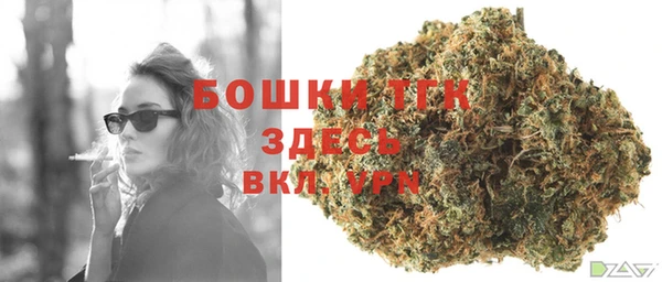 PSILOCYBIN Лиски