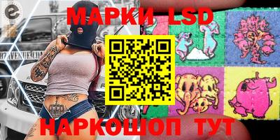 молекула духа Будённовск