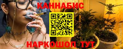 молекула духа Будённовск