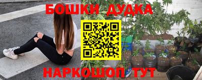 молекула духа Будённовск