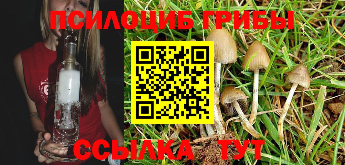 Псилоцибиновые грибы прущие грибы Домодедово
