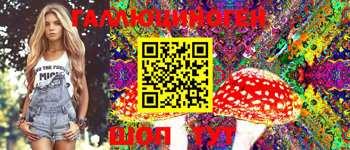 Псилоцибиновые грибы Psilocybine cubensis Домодедово