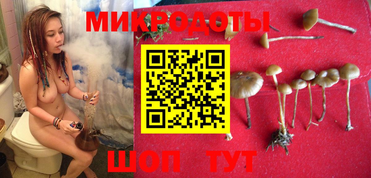 Домодедово  Псилоцибиновые грибы Cubensis  Вход с VPN 